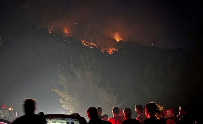 Başkan Yıldırım, yangın bölgesinde incelemeler yaptı