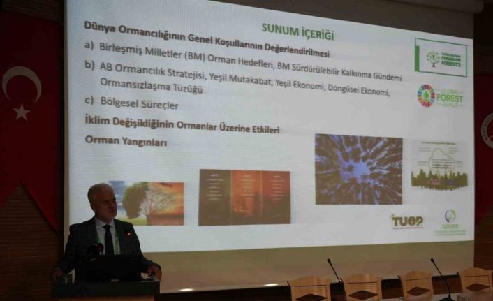 Batı Karadeniz Bölgesi’nin 20 yıllık ormancılık stratejisi bu çalıştayda belirlendi