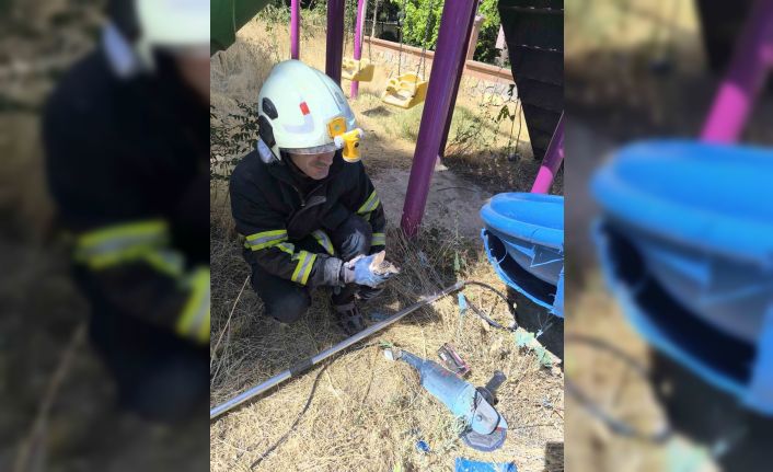 Batman’da kaydırağa sıkışan kediyi itfaiye ekipleri kurtardı