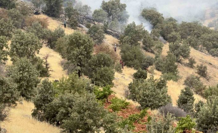 Batman’da örtü ve orman yangında bin dönüm alan zarar gördü