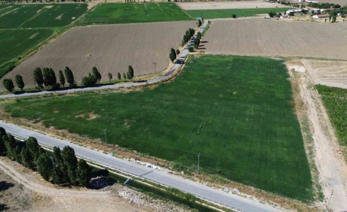 Battalgazi’de yerli üretimle yeşil alan seferberliği