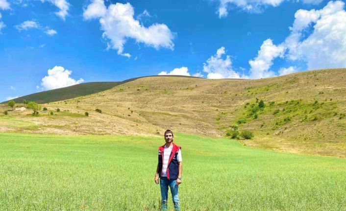 Bayburt’ta yem bitkileri için saha çalışmaları sürüyor