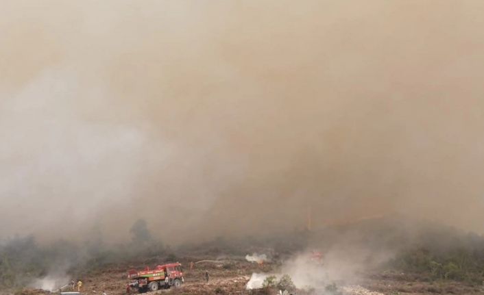 Bayırköy Belediyesi’nden Zobran köyünde çıkan yangına destek