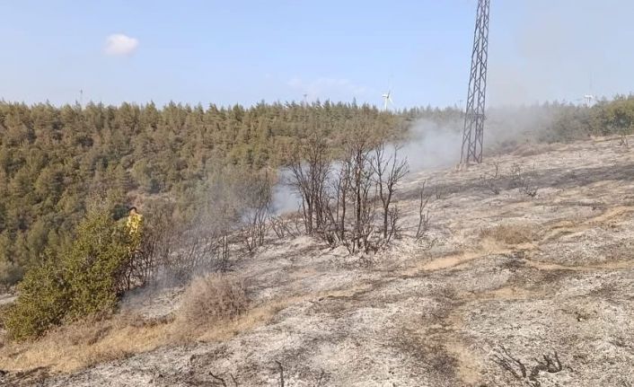 Belen’de ormanlık alanda yangın çıktı