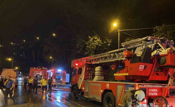 Beykoz’da ağaçlık alanda çıkan yangın söndürüldü