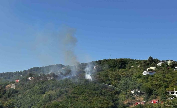 Beykoz’da bulunan ormanlık alanda yangın çıktı. Olay yerine çok sayıda itfaiye ekibi sevk edildi.
