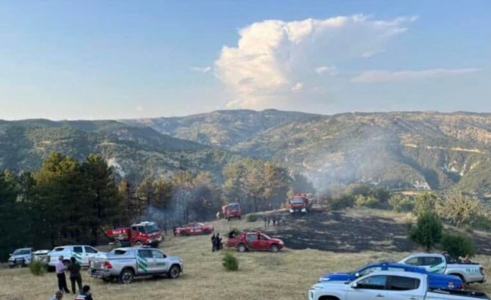 Beypazarı’nda 15 dönüm ekili alan yandı