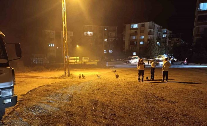 Beypazarı’nda kümes yangını: 41 tavuk telef oldu