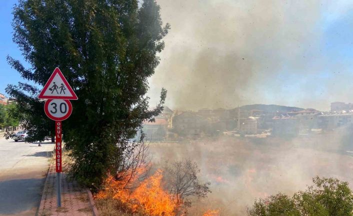Beyşehir’de alevler bahçelere ulaşmadan söndürüldü