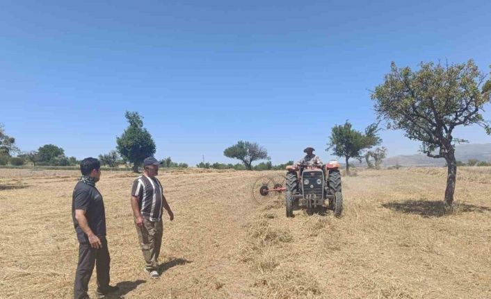 Beyşehir’de hibe destekli ekilen yem bitkilerinde hasat sürüyor