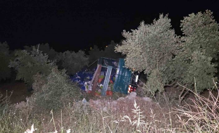 Biber yüklü kamyon zeytinliğe uçtu: 1 yaralı