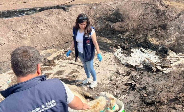 Bilecik’te acı bilanço ortaya çıktı