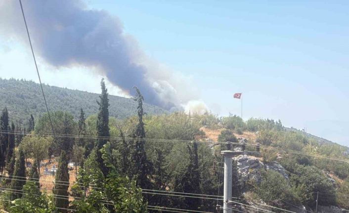 Bilecik’te alevler tavuk çiftliklerine dayandı