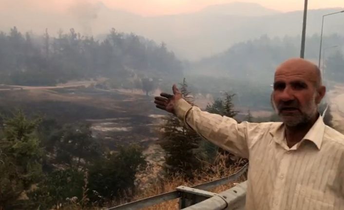 Bilecik’te alevler yeniden yükseldi, zeytinliği yanan köylü o anları anlattı