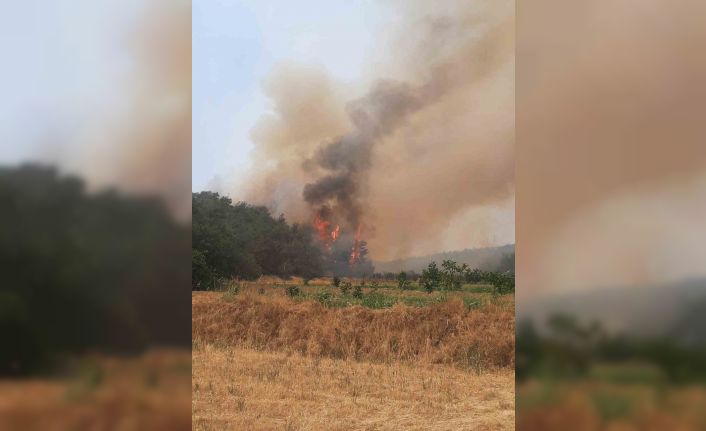 Bilecik’te alevler yeniden yükselmeye başladı