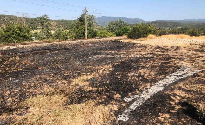 Bilecik’te anız yangını büyümeden söndürüldü