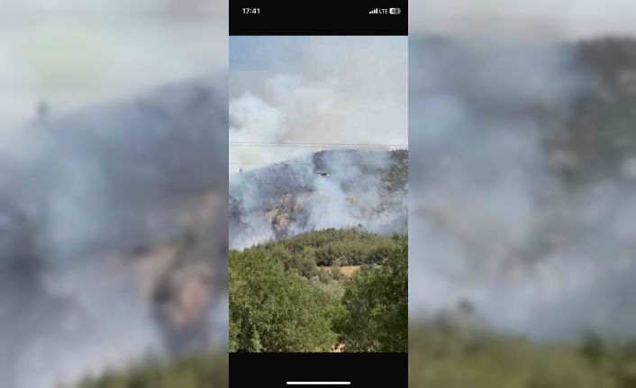 Bilecik’te bir başka orman yangını daha çıktı