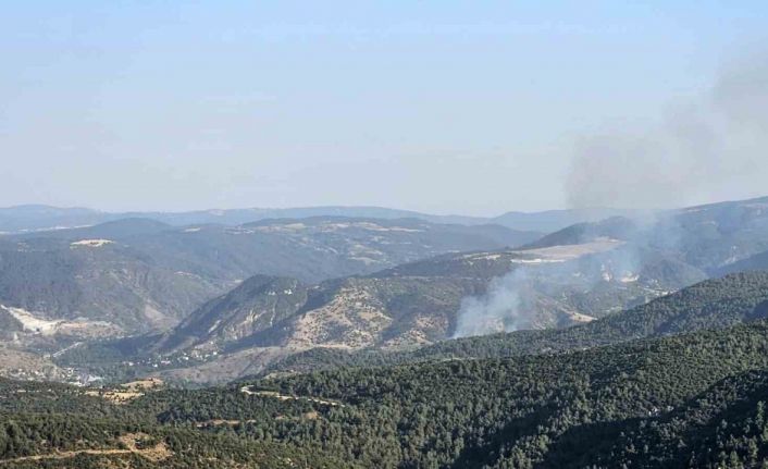 Bilecik’te çıkan orman yangını kontrol altına alındı