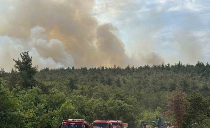 Bilecik’te orman yangını başladı