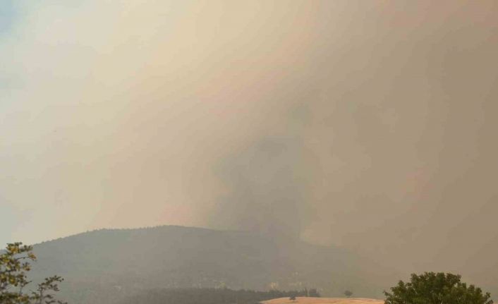 Bilecik’te orman yangını kısmen kontrol alındı