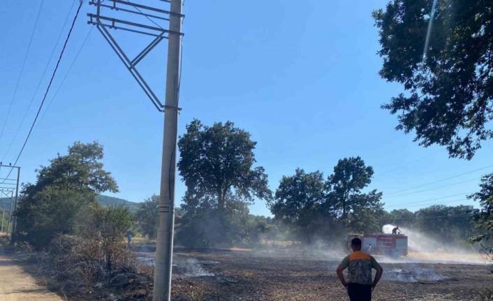 Bilecik’te ormanlık alana sıçrayan yangına müdahale ediliyor