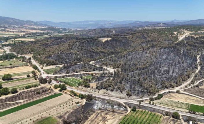 Bilecik’te yanan ormanlık ve kırsal alan havadan görüntülendi