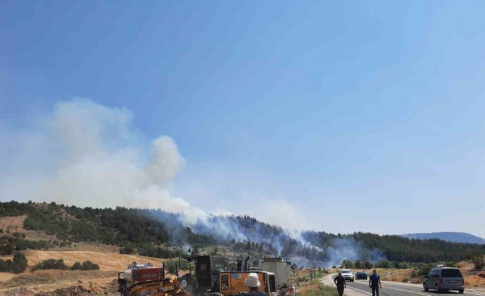 Bilecik’te yeni orman yangını