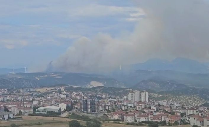 Bilecik’teki orman yangınına müdahale sürüyor: Dumanlar kent merkezine kadar geldi