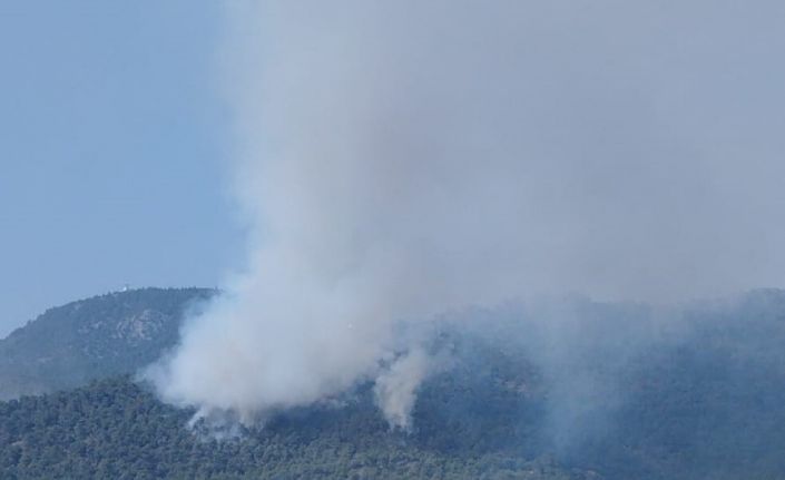 Bilecik’teki orman yangınında alevler Borcak köyüne doğru ilerliyor