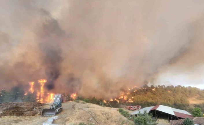 Bilecik’teki orman yangınında alevler Kazancı köyüne ulaştı