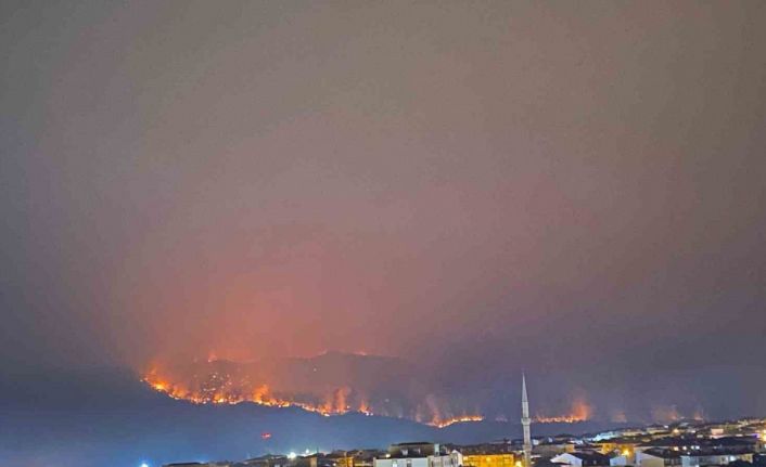 Bilecik’teki yangında alevler ilçe merkezine doğru ilerliyor