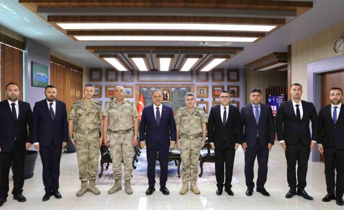 Bingöl’de 20 yıl önce yol kenarında çanta içerisinde bulunan bebek cesedi olayı aydınlatıldı