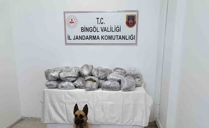 Bingöl’de 49 kilo esrar ele geçirildi