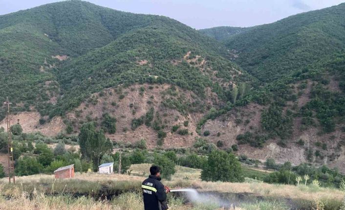 Bingöl’de çıkan örtü yangını söndürüldü