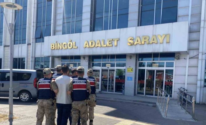 Bingöl’de kesinleşmiş hapis cezası bulunan 3 zanlı yakalandı