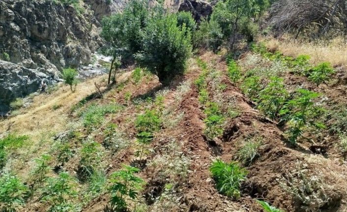 Bingöl’de uyuşturucu operasyonu