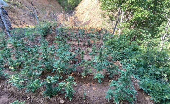 Bingöl’de uyuşturucuyla mücadele sürüyor