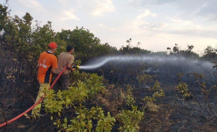 Bingöl’deki orman yangını kontrol altına alındı
