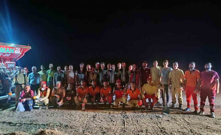 Bingöl’deki orman yangını söndürüldü