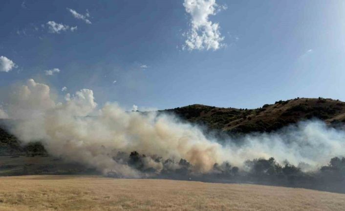 Bitlis’te buğday tarlasında çıkan yangın büyümeden söndürüldü