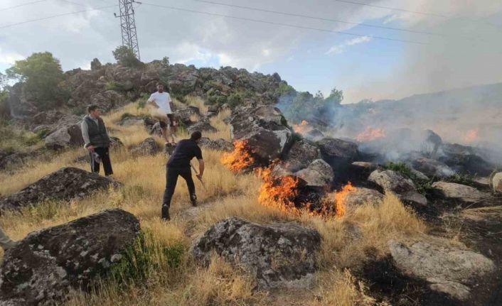 Bitlis’te örtü yangını