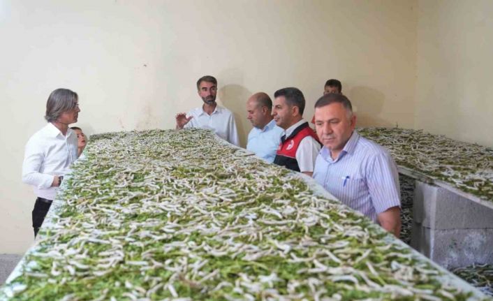 "Böcekle mi uğraşacaksın" sözlerine aldırmadı, binlerce lira kazandı