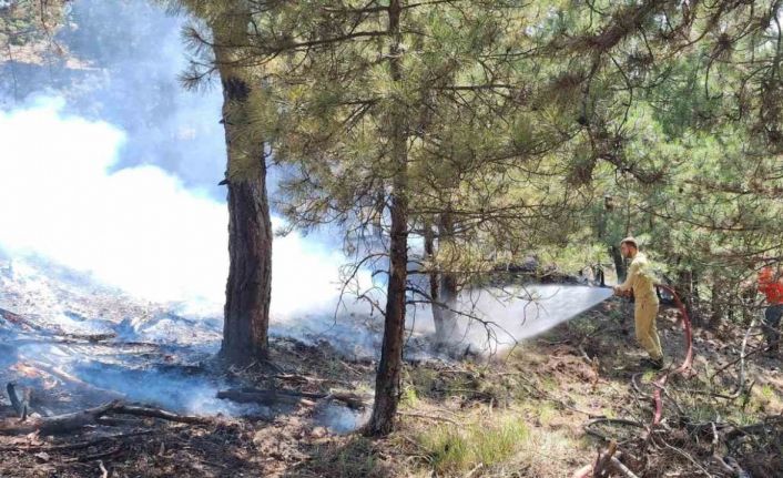 Bolu’da çıkan orman yangını büyümeden söndürüldü