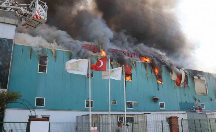 Bolu’da medikal fabrikasında yangın çıktı