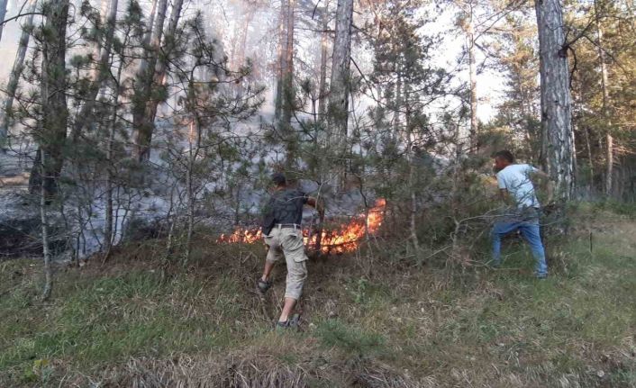 Bolu’da orman yangını başladı