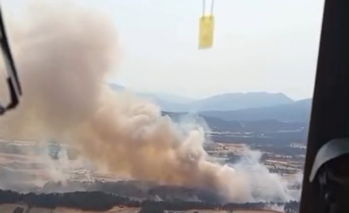 Bolu’daki orman yangını kontrol altına alındı: Soğutma çalışmaları sürüyor