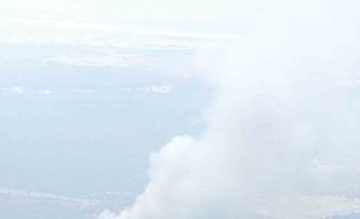 Bornova’da orman yangını