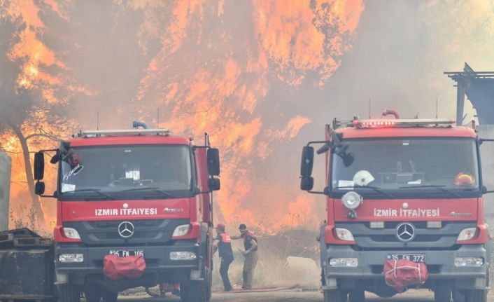 Bornova’da orman yangınını söndürme çalışmaları devam ediyor