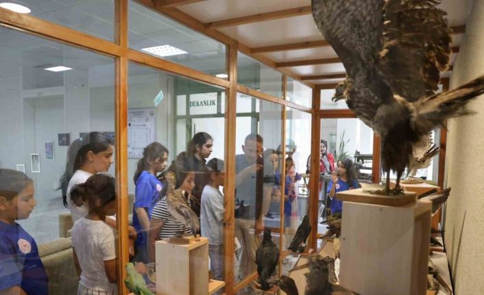 Botanik bahçesi öğrencilerin ilgisini çekti