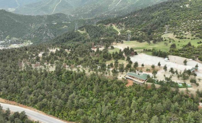 Böyleydi böyle oldu